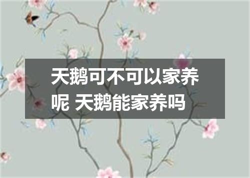 天鹅可不可以家养呢 天鹅能家养吗