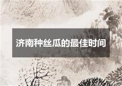 济南种丝瓜的最佳时间