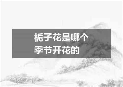 栀子花是哪个季节开花的