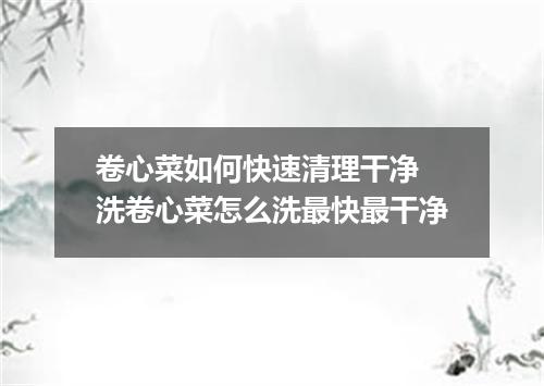 卷心菜如何快速清理干净 洗卷心菜怎么洗最快最干净