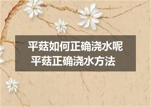 平菇如何正确浇水呢 平菇正确浇水方法