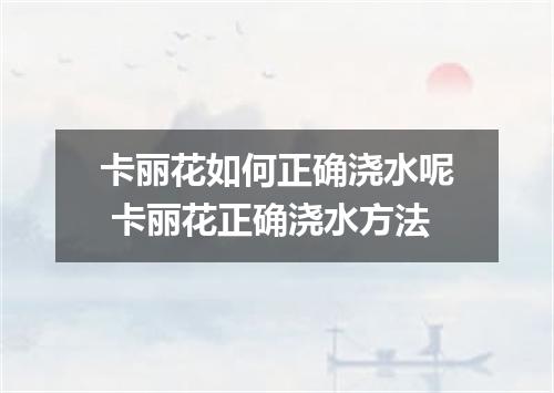 卡丽花如何正确浇水呢 卡丽花正确浇水方法