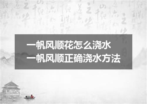 一帆风顺花怎么浇水 一帆风顺正确浇水方法
