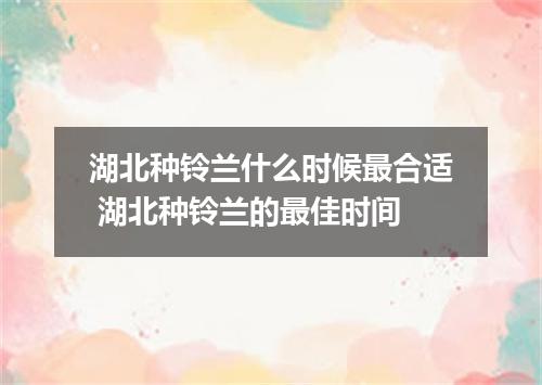 湖北种铃兰什么时候最合适 湖北种铃兰的最佳时间