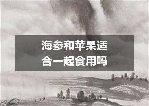 海参和苹果适合一起食用吗