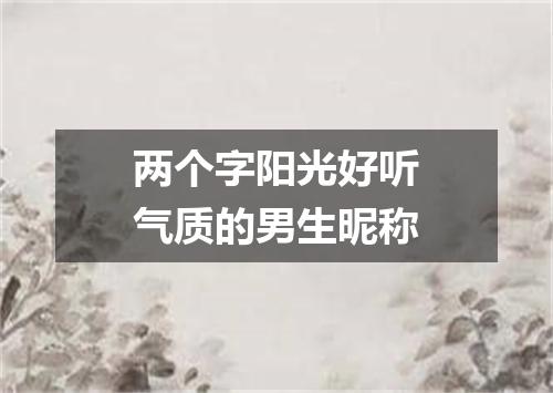 两个字阳光好听气质的男生昵称