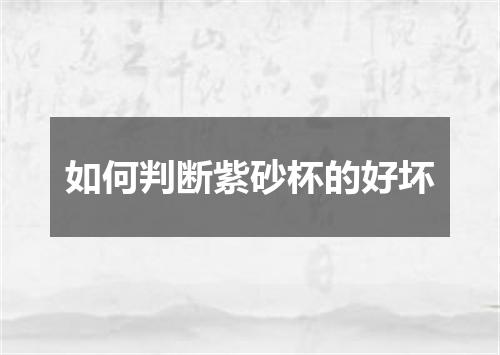 如何判断紫砂杯的好坏