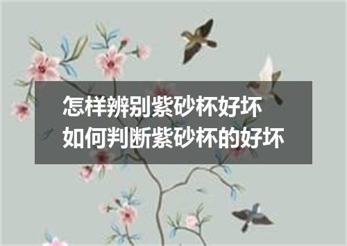 怎样辨别紫砂杯好坏 如何判断紫砂杯的好坏