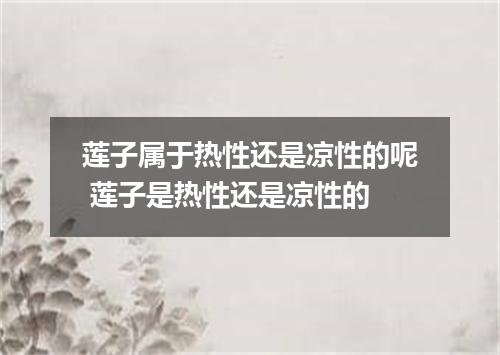 莲子属于热性还是凉性的呢 莲子是热性还是凉性的