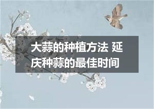 大蒜的种植方法 延庆种蒜的最佳时间