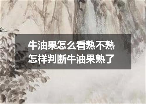 牛油果怎么看熟不熟 怎样判断牛油果熟了