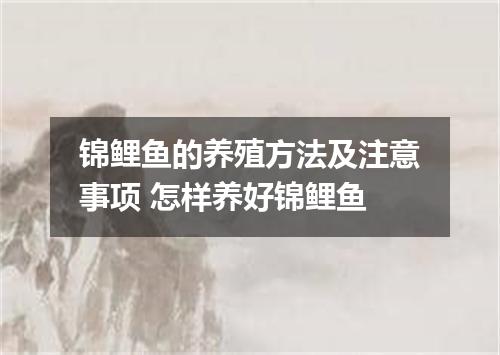 锦鲤鱼的养殖方法及注意事项 怎样养好锦鲤鱼
