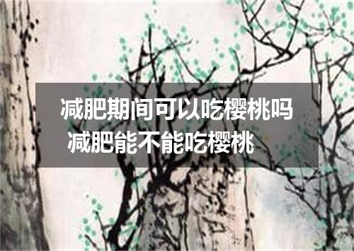 减肥期间可以吃樱桃吗 减肥能不能吃樱桃