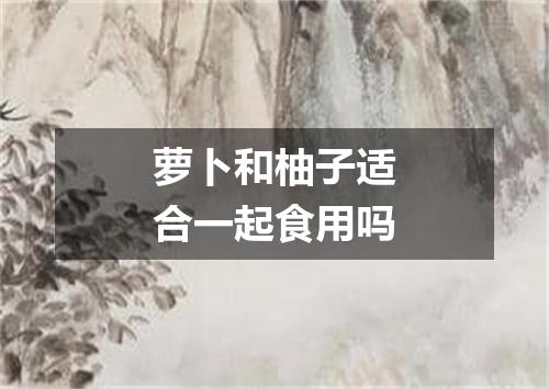 萝卜和柚子适合一起食用吗