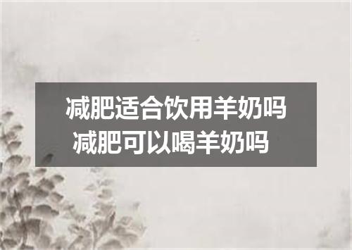 减肥适合饮用羊奶吗 减肥可以喝羊奶吗