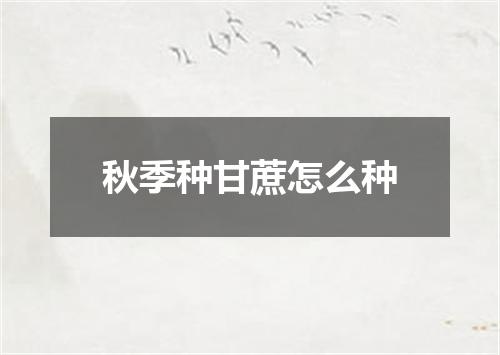秋季种甘蔗怎么种