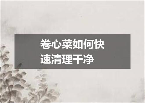 卷心菜如何快速清理干净