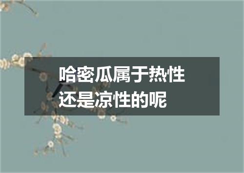 哈密瓜属于热性还是凉性的呢
