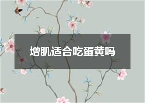 增肌适合吃蛋黄吗