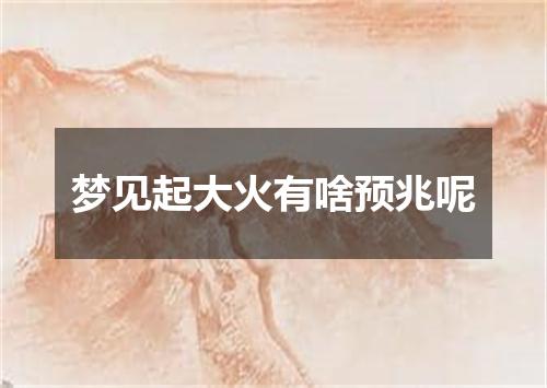 梦见起大火有啥预兆呢