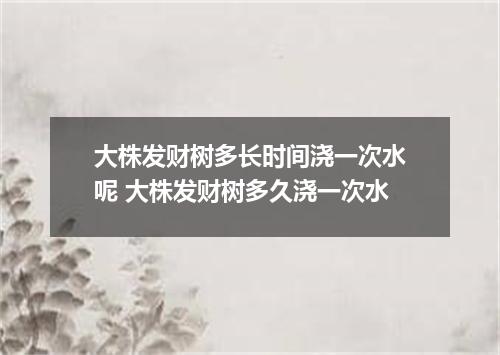 大株发财树多长时间浇一次水呢 大株发财树多久浇一次水
