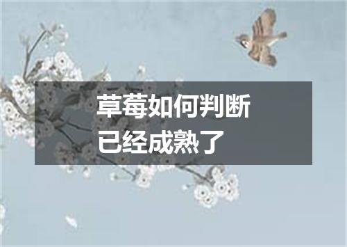 草莓如何判断已经成熟了