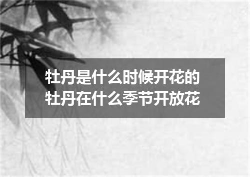 牡丹是什么时候开花的 牡丹在什么季节开放花