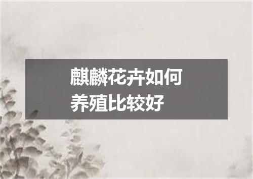 麒麟花卉如何养殖比较好