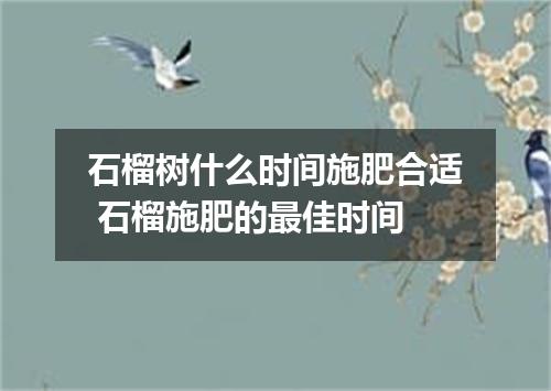 石榴树什么时间施肥合适 石榴施肥的最佳时间