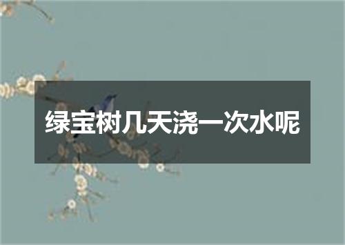 绿宝树几天浇一次水呢