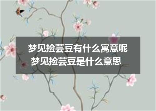 梦见捡芸豆有什么寓意呢 梦见捡芸豆是什么意思