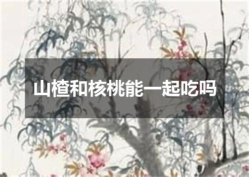 山楂和核桃能一起吃吗