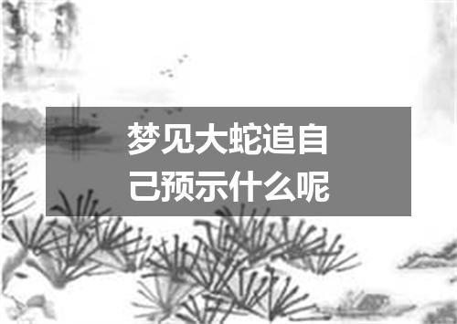 梦见大蛇追自己预示什么呢