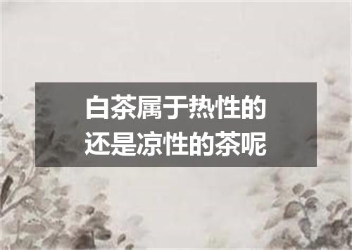 白茶属于热性的还是凉性的茶呢