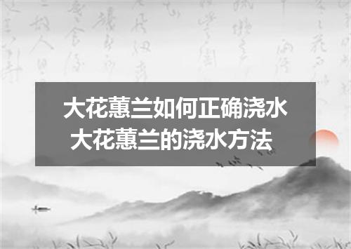 大花蕙兰如何正确浇水 大花蕙兰的浇水方法