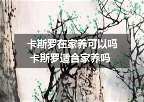 卡斯罗在家养可以吗 卡斯罗适合家养吗