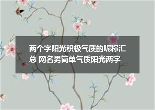 两个字阳光积极气质的昵称汇总 网名男简单气质阳光两字