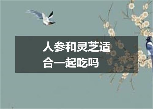 人参和灵芝适合一起吃吗