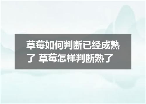 草莓如何判断已经成熟了 草莓怎样判断熟了