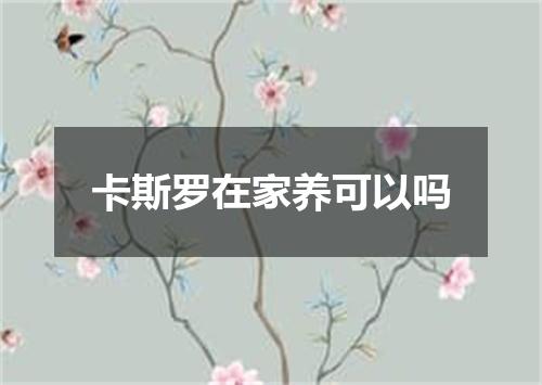 卡斯罗在家养可以吗