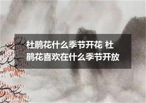 杜鹃花什么季节开花 杜鹃花喜欢在什么季节开放