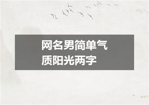 网名男简单气质阳光两字