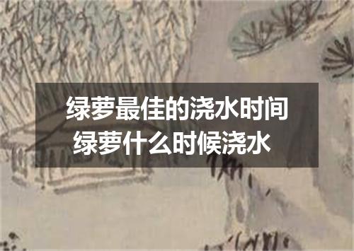 绿萝最佳的浇水时间 绿萝什么时候浇水