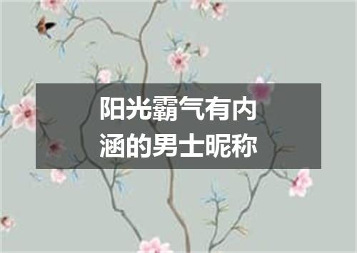 阳光霸气有内涵的男士昵称