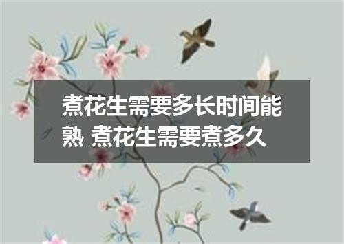 煮花生需要多长时间能熟 煮花生需要煮多久