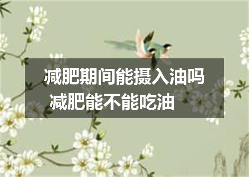 减肥期间能摄入油吗 减肥能不能吃油