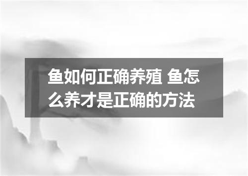 鱼如何正确养殖 鱼怎么养才是正确的方法