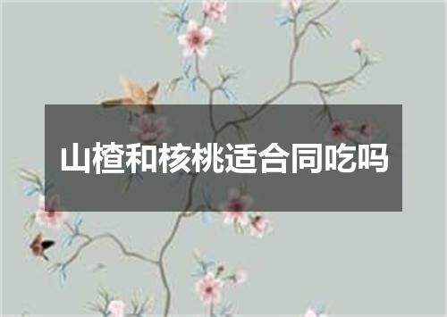 山楂和核桃适合同吃吗