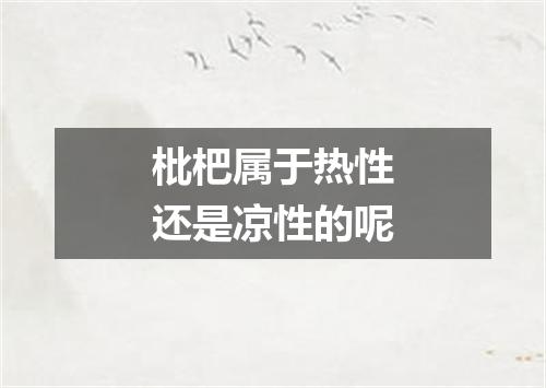 枇杷属于热性还是凉性的呢