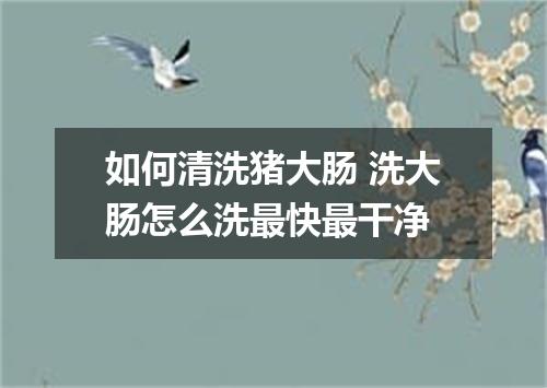 如何清洗猪大肠 洗大肠怎么洗最快最干净